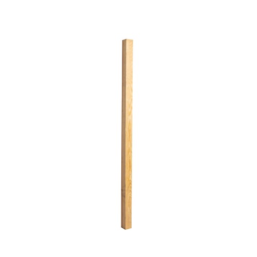 _R9A2815.jpg