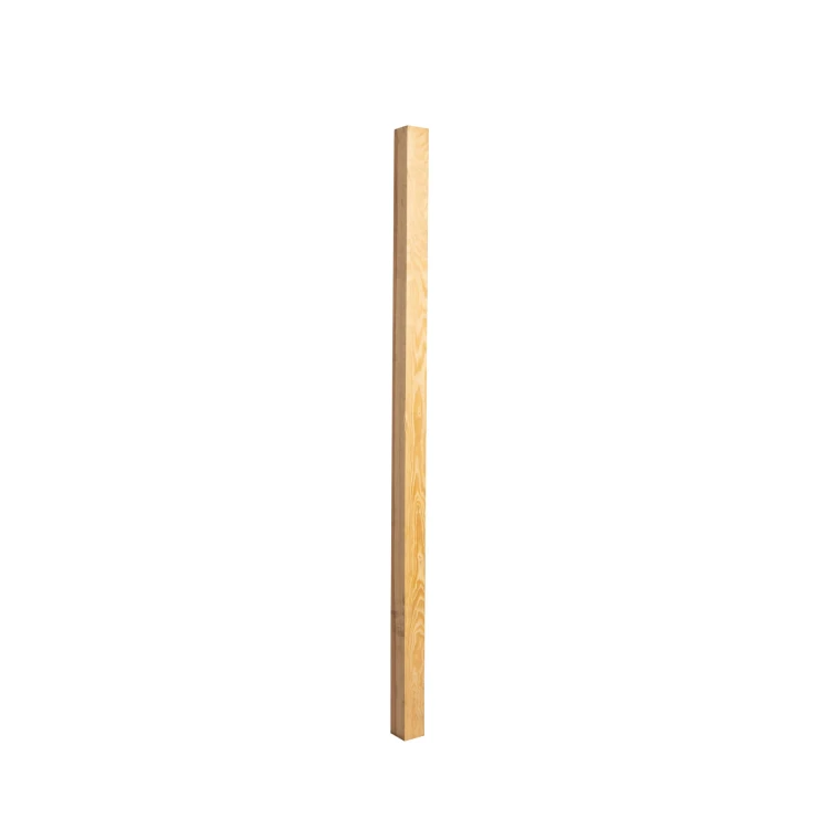 _R9A2815.jpg